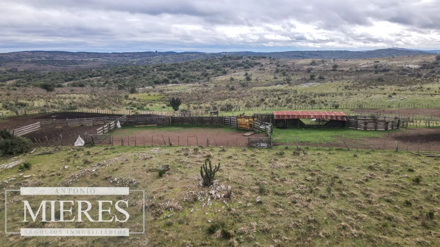 Estancia completa de 2400ha en Treinta y Tres y Cerro Largo — foto 29