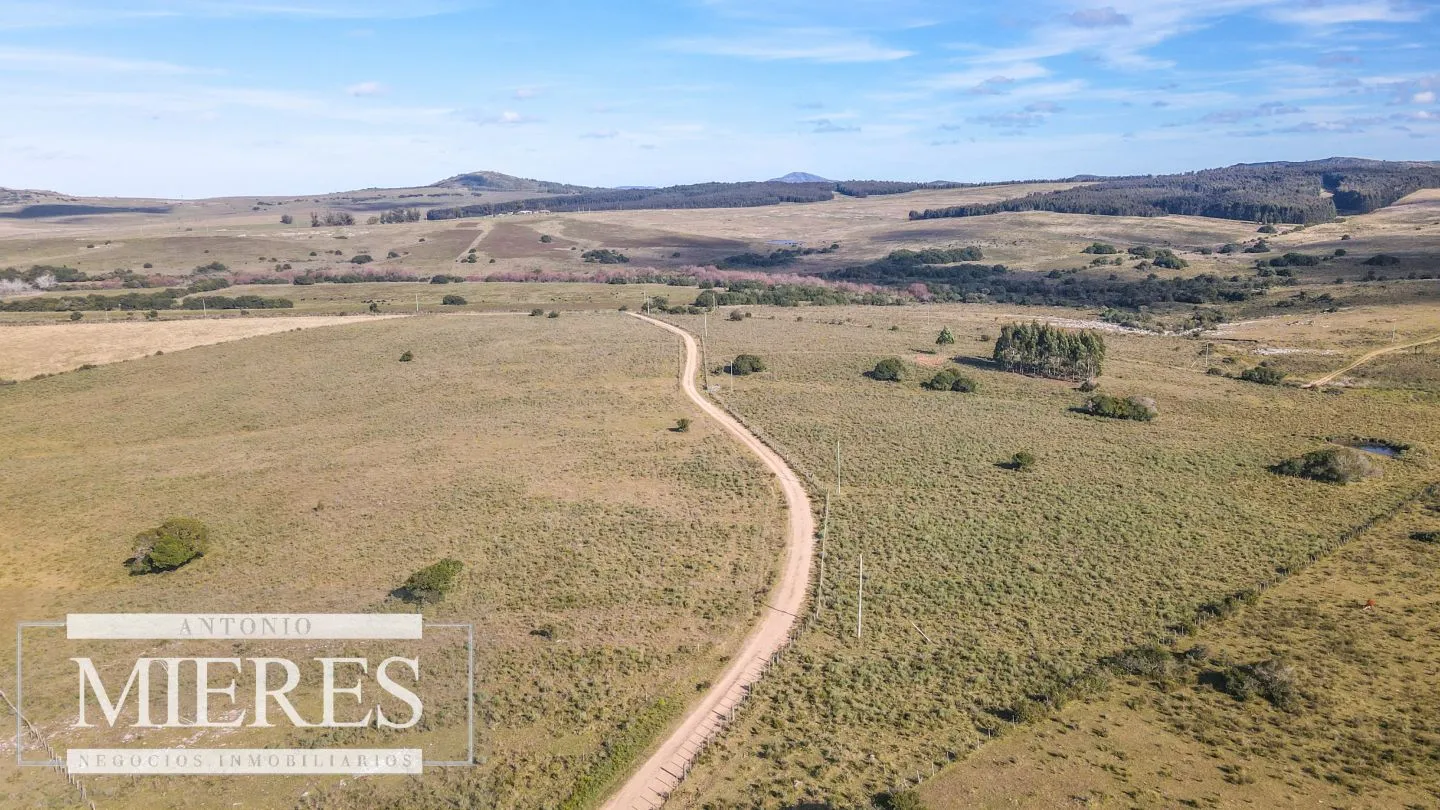Campo en venta de 34 ha Pan de Azúcar, Maldonado. — foto 4