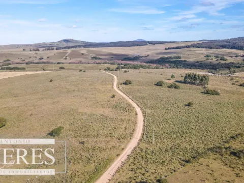 Campo en venta de 34 ha Pan de Azúcar, Maldonado. — foto 4