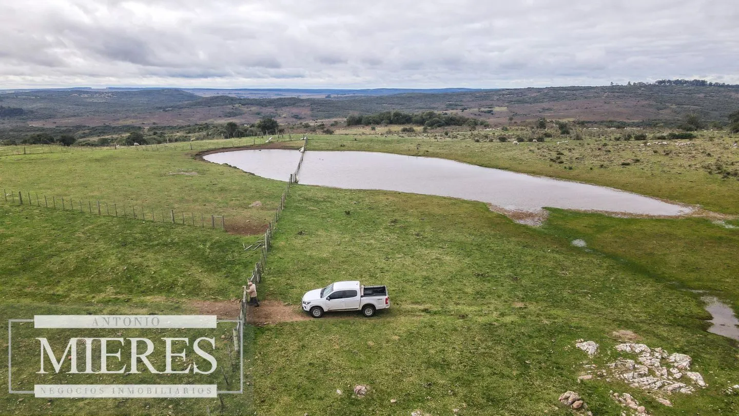 Estancia completa de 2400ha en Treinta y Tres y Cerro Largo — foto 30