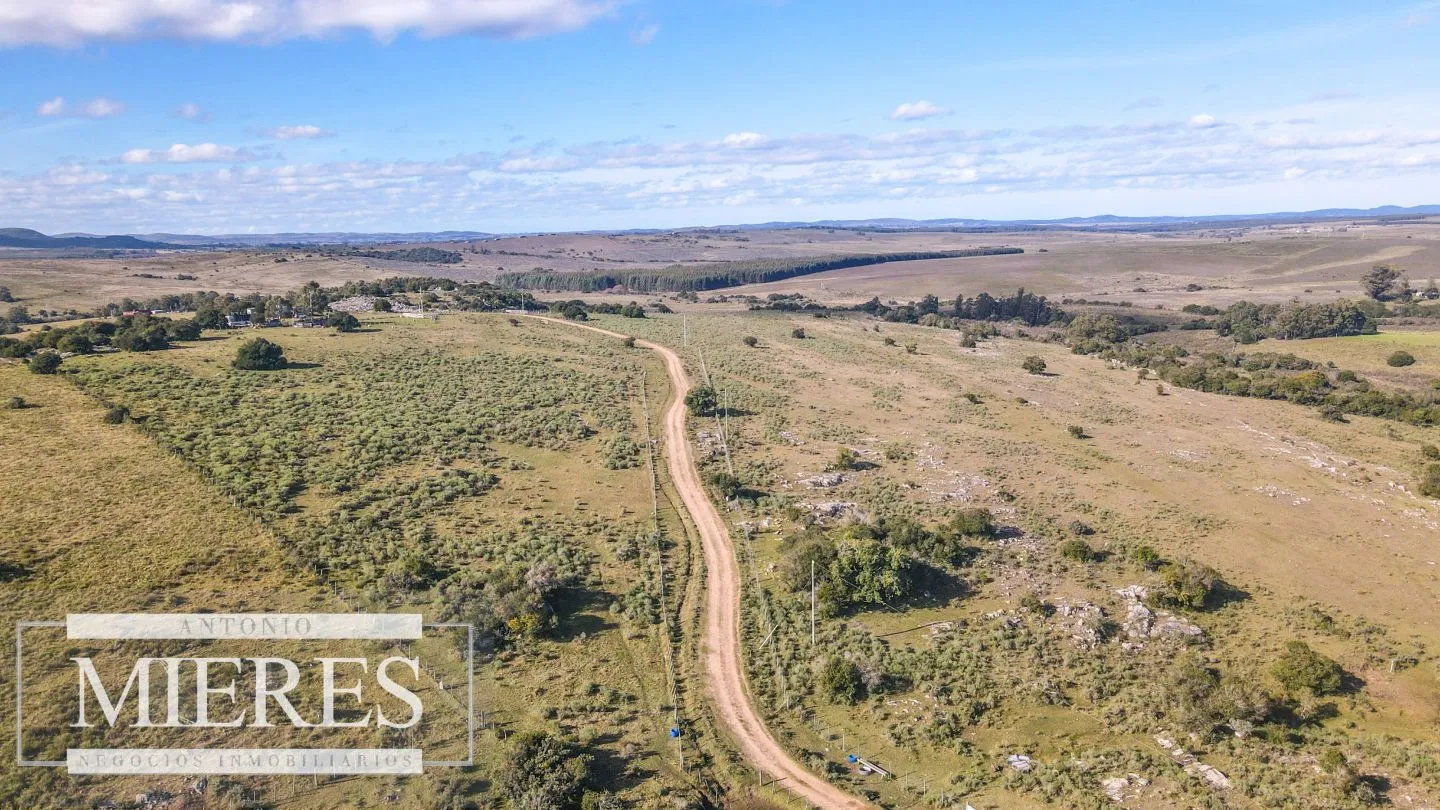 Campo en venta de 34 ha Pan de Azúcar, Maldonado. — foto 5
