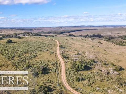 Campo en venta de 34 ha Pan de Azúcar, Maldonado. — foto 5