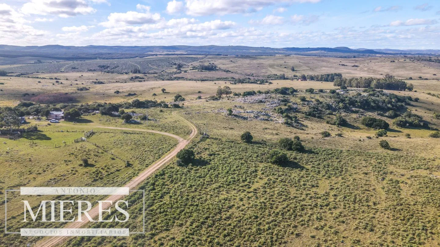 Campo en venta de 34 ha Pan de Azúcar, Maldonado. — foto 6