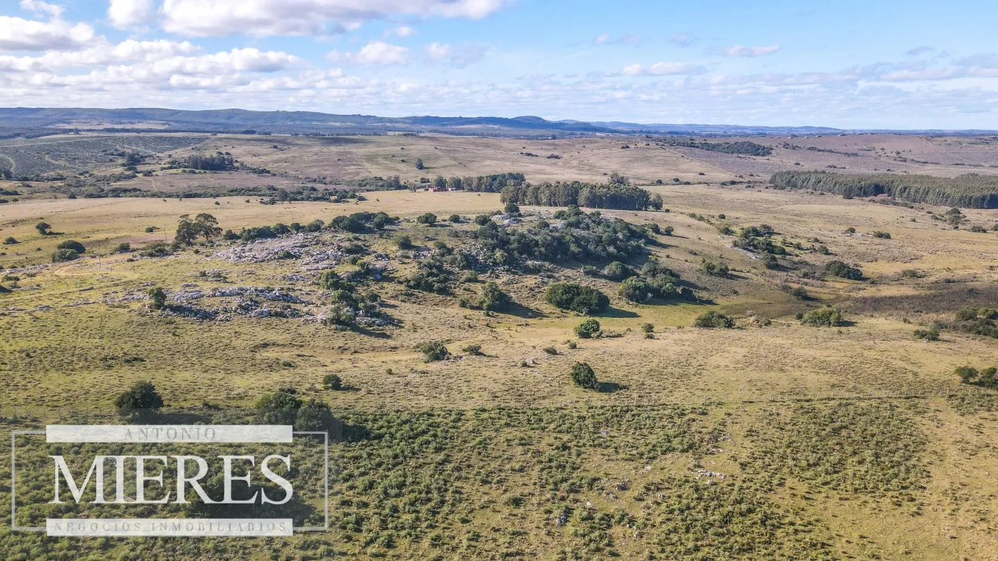 Campo en venta de 34 ha Pan de Azúcar, Maldonado. — foto 7