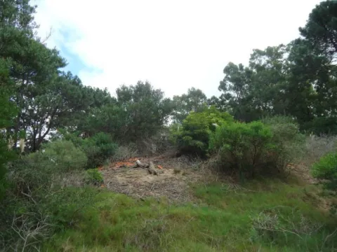 Venta lote en altura Club del Lago- Punta Ballena — foto 4