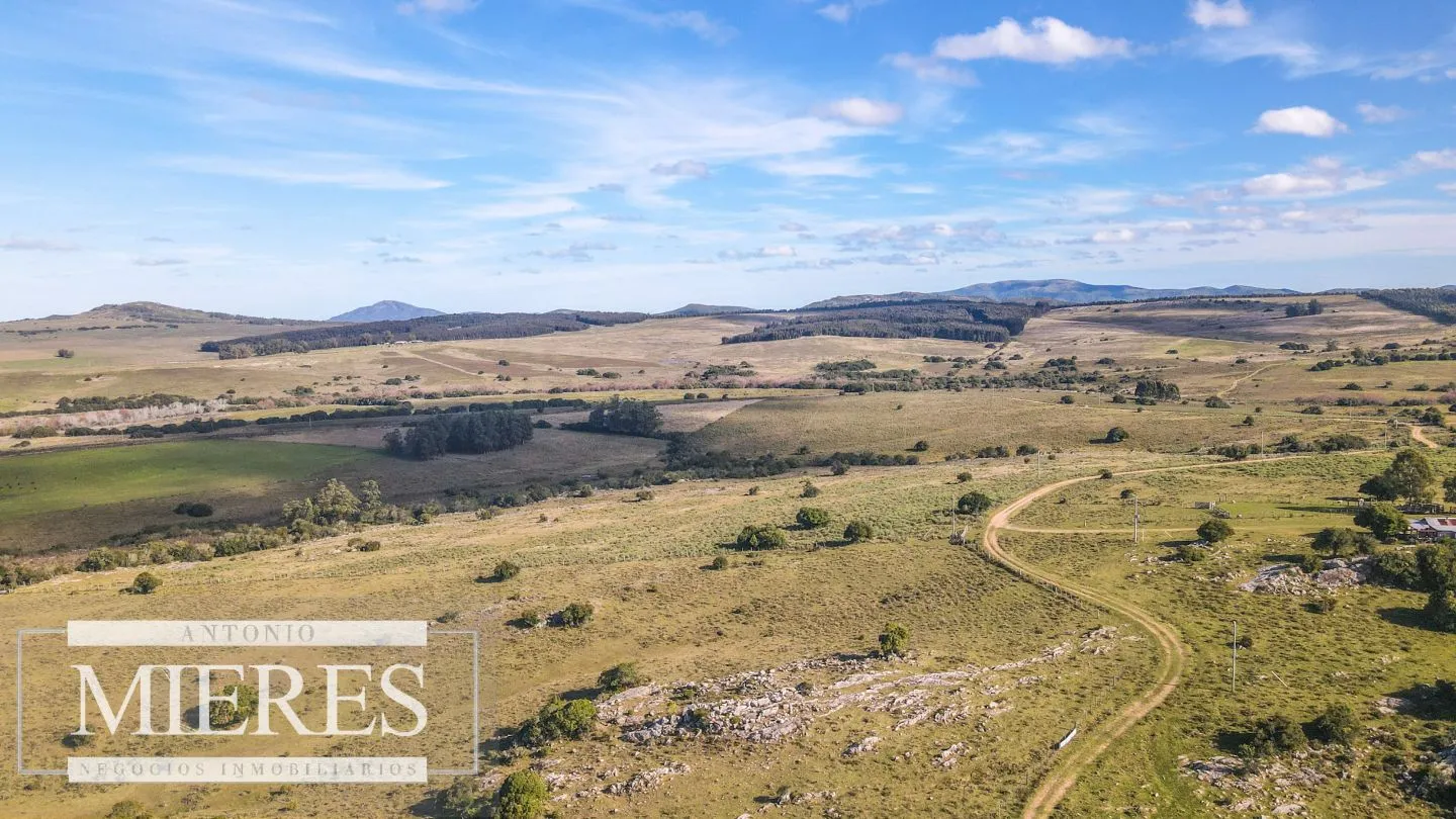 Campo en venta de 34 ha Pan de Azúcar, Maldonado. — foto 9