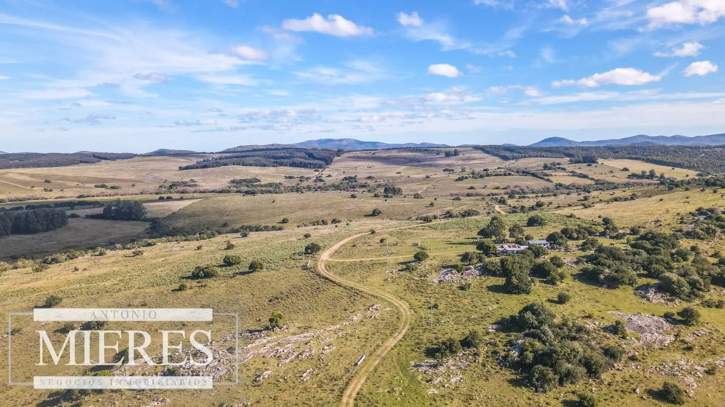 Campo en venta de 34 ha Pan de Azúcar, Maldonado. — foto 10