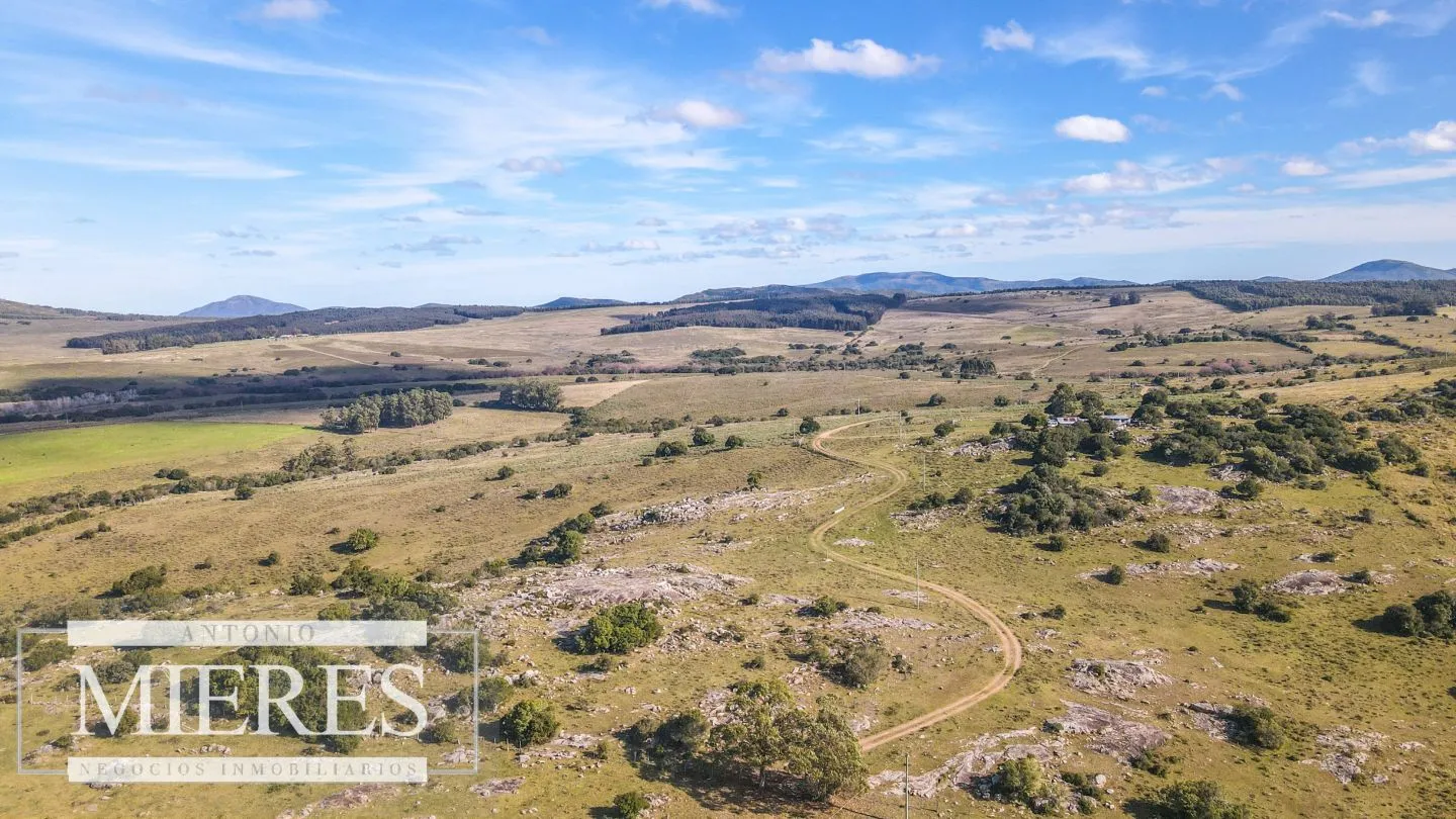 Campo en venta de 34 ha Pan de Azúcar, Maldonado. — foto 11