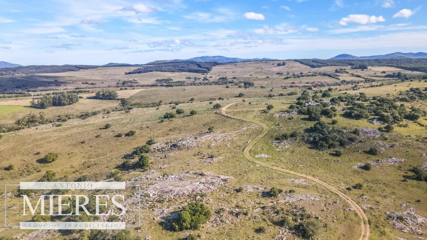 Campo en venta de 34 ha Pan de Azúcar, Maldonado. — foto 12