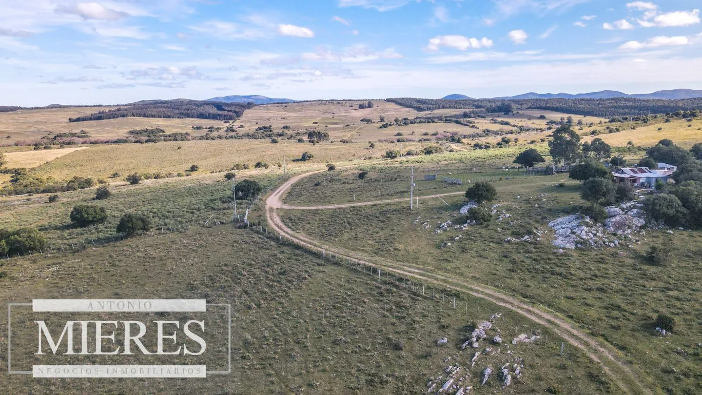 Campo en venta de 34 ha Pan de Azúcar, Maldonado. — foto 13