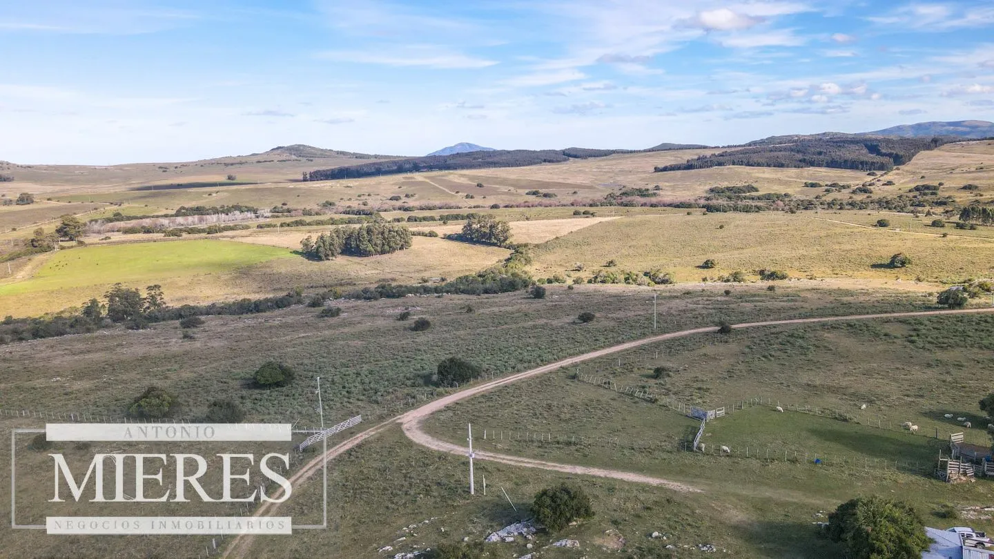 Campo en venta de 34 ha Pan de Azúcar, Maldonado. — foto 14