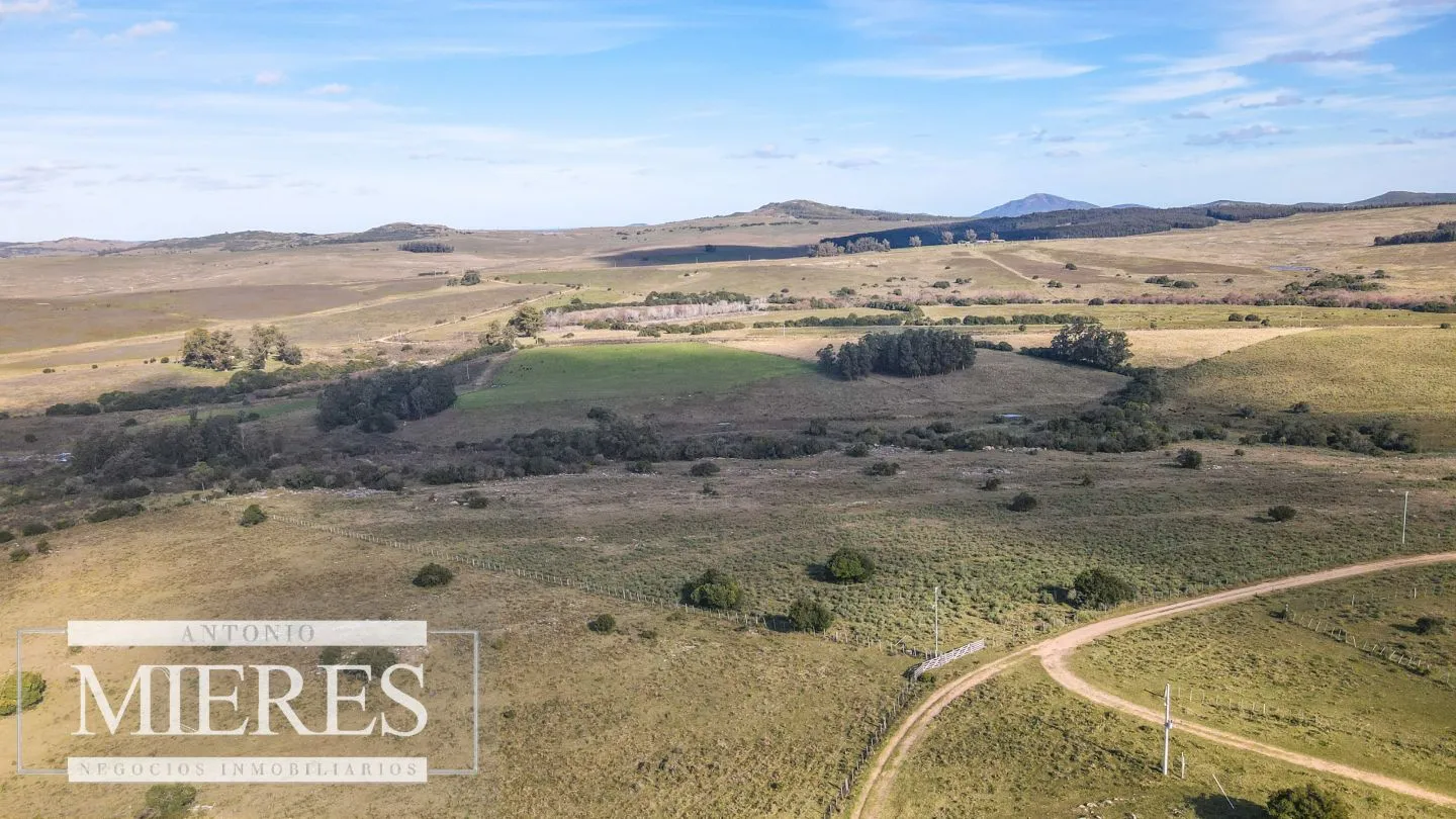 Campo en venta de 34 ha Pan de Azúcar, Maldonado. — foto 15