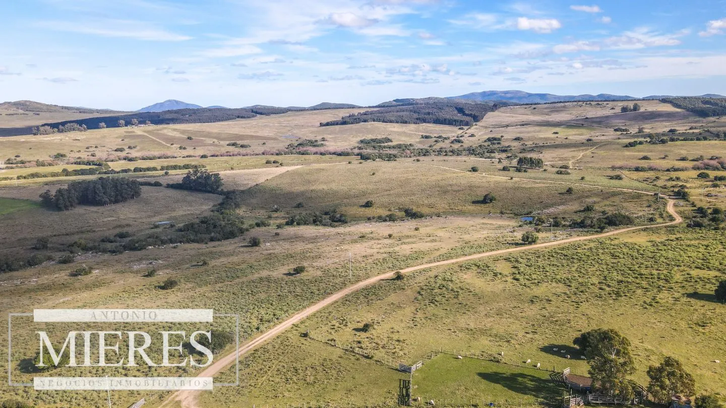 Campo en venta de 34 ha Pan de Azúcar, Maldonado. — foto 16
