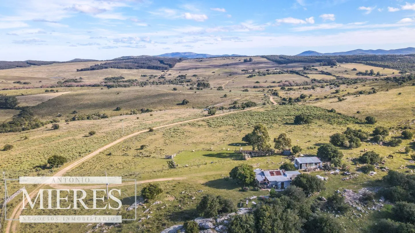 Campo en venta de 34 ha Pan de Azúcar, Maldonado. — foto 17
