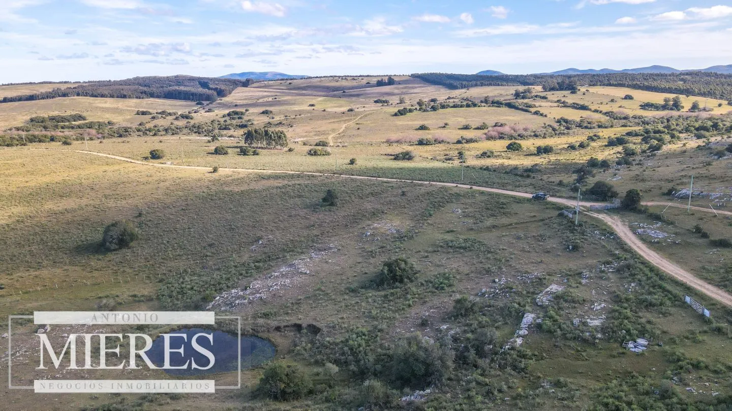 Campo en venta de 34 ha Pan de Azúcar, Maldonado. — foto 18