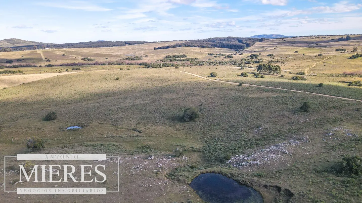 Campo en venta de 34 ha Pan de Azúcar, Maldonado. — foto 19