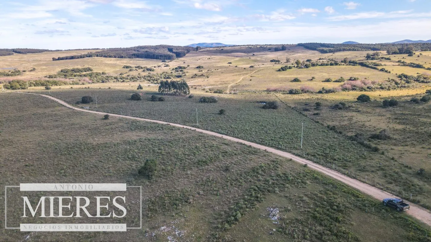 Campo en venta de 34 ha Pan de Azúcar, Maldonado. — foto 20