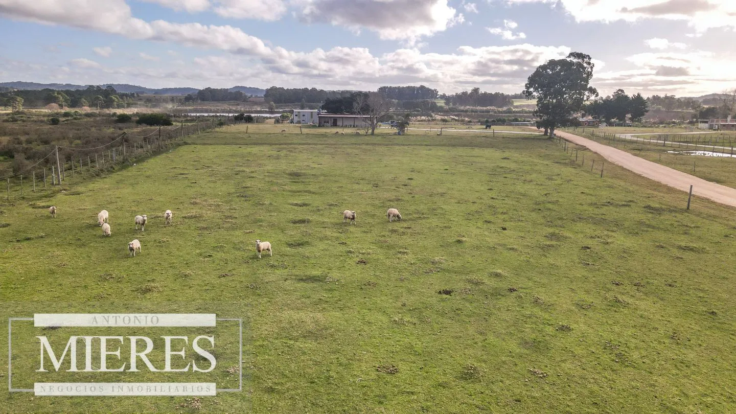 Chacra en venta de 5 ha en Maldonado con casa y galpones — foto 3