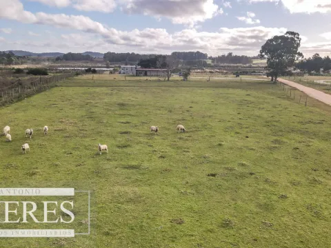 Chacra en venta de 5 ha en Maldonado con casa y galpones — foto 3