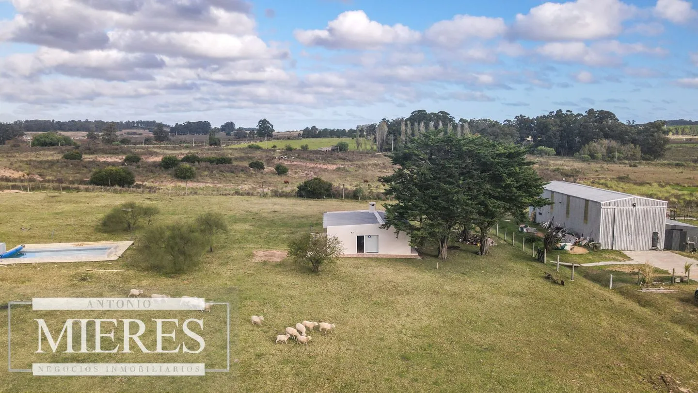 Chacra en venta de 5 ha en Maldonado con casa y galpones — foto 10