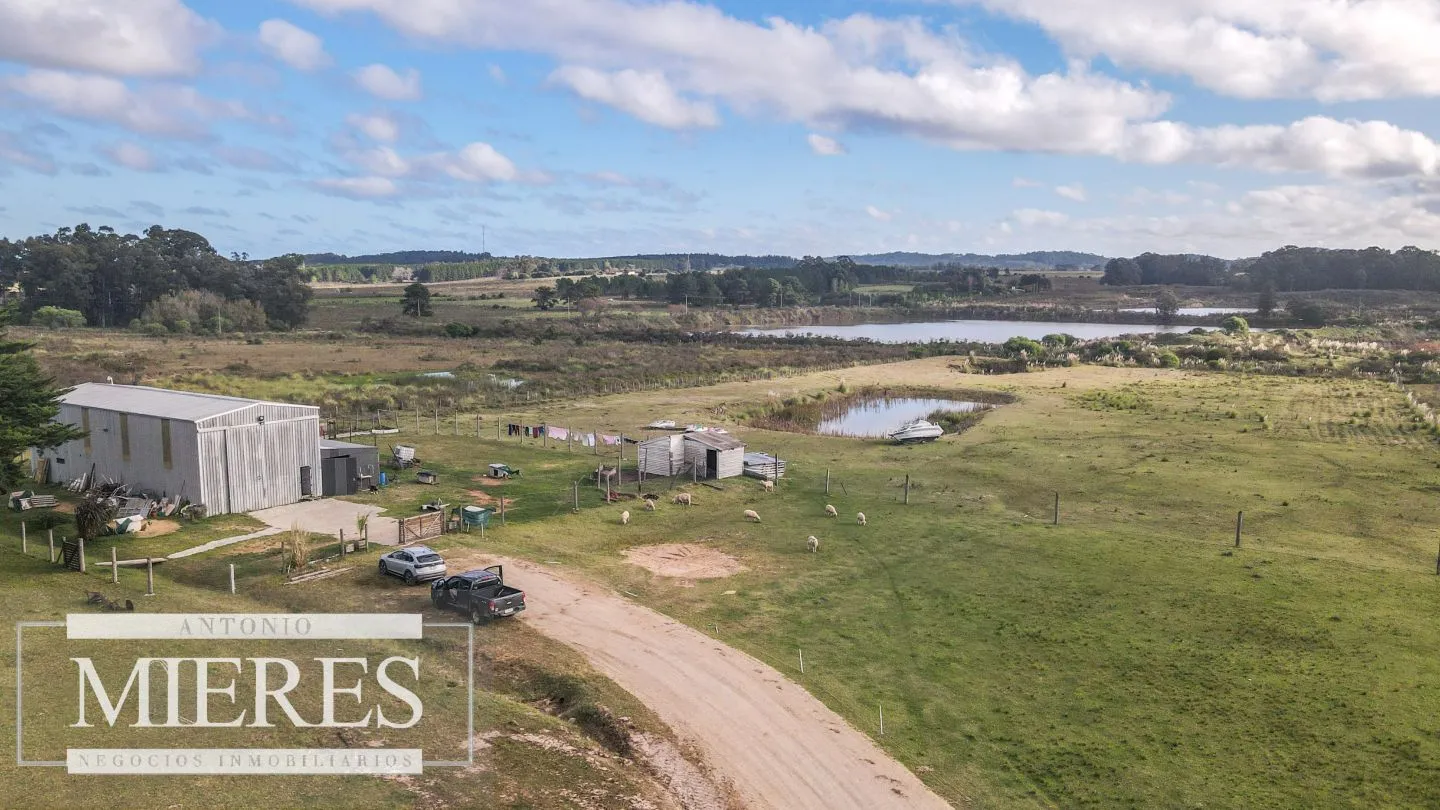 Chacra en venta de 5 ha en Maldonado con casa y galpones — foto 11