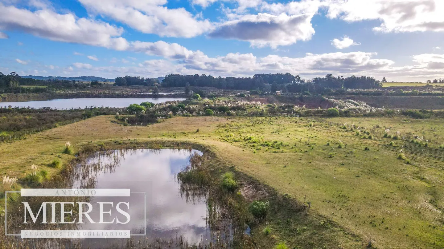 Chacra en venta de 5 ha en Maldonado con casa y galpones — foto 12