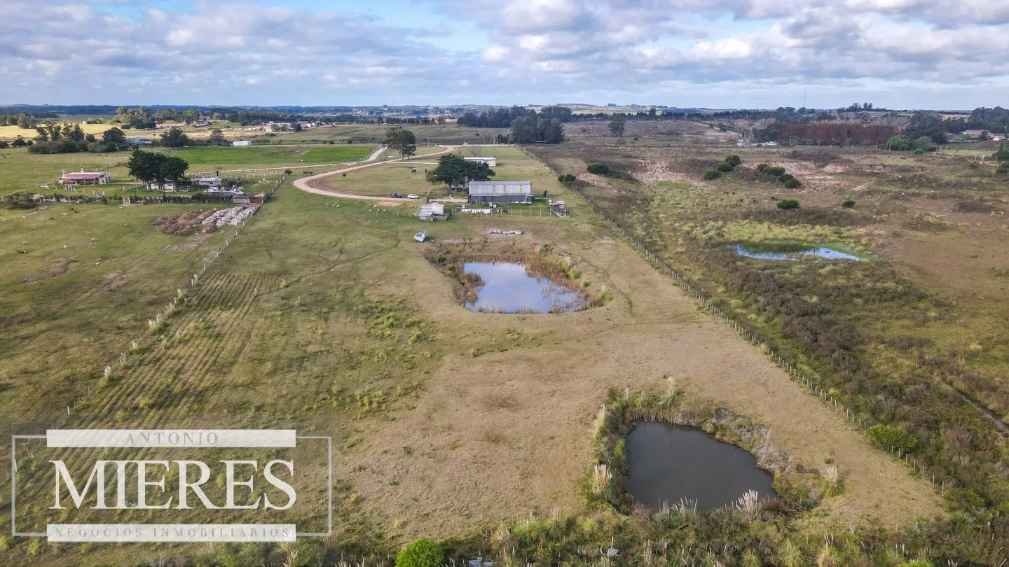 Chacra en venta de 5 ha en Maldonado con casa y galpones — foto 13