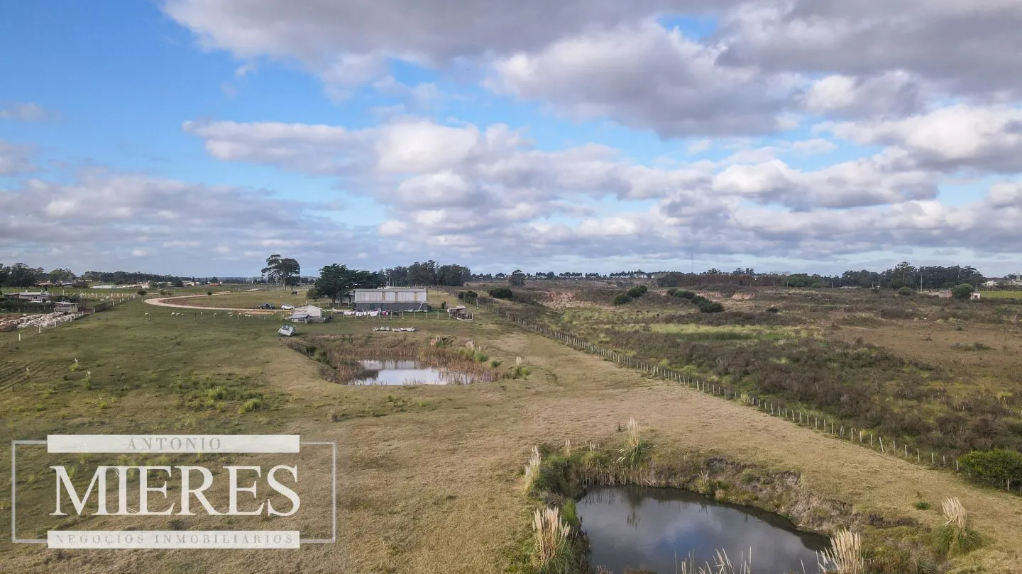 Chacra en venta de 5 ha en Maldonado con casa y galpones — foto 14