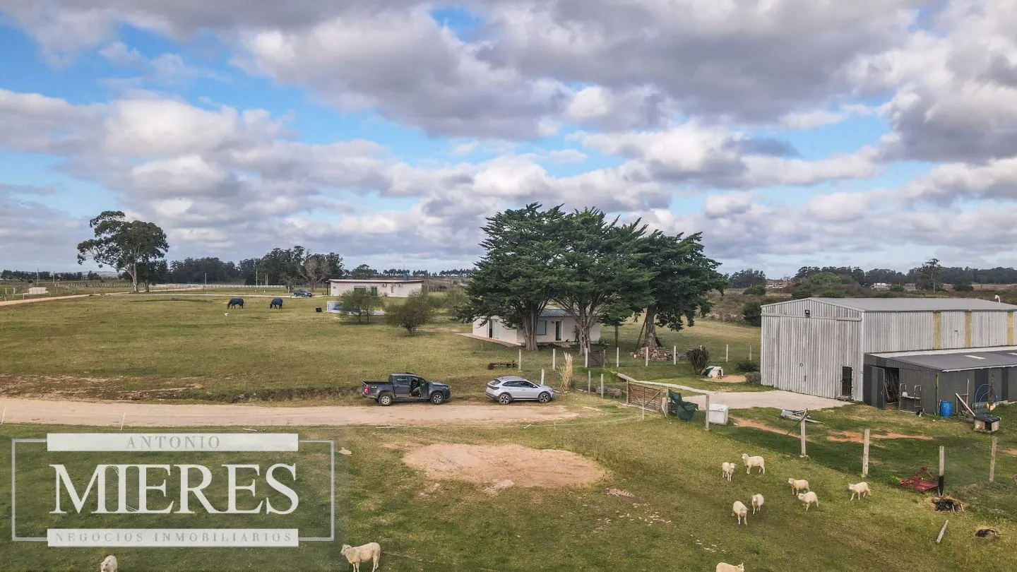 Chacra en venta de 5 ha en Maldonado con casa y galpones — foto 15