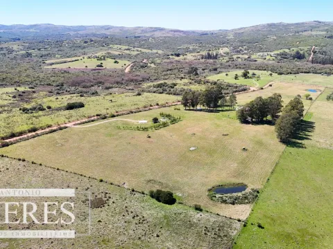 Chacra / Campo 5 ha en Maldonado — foto 4