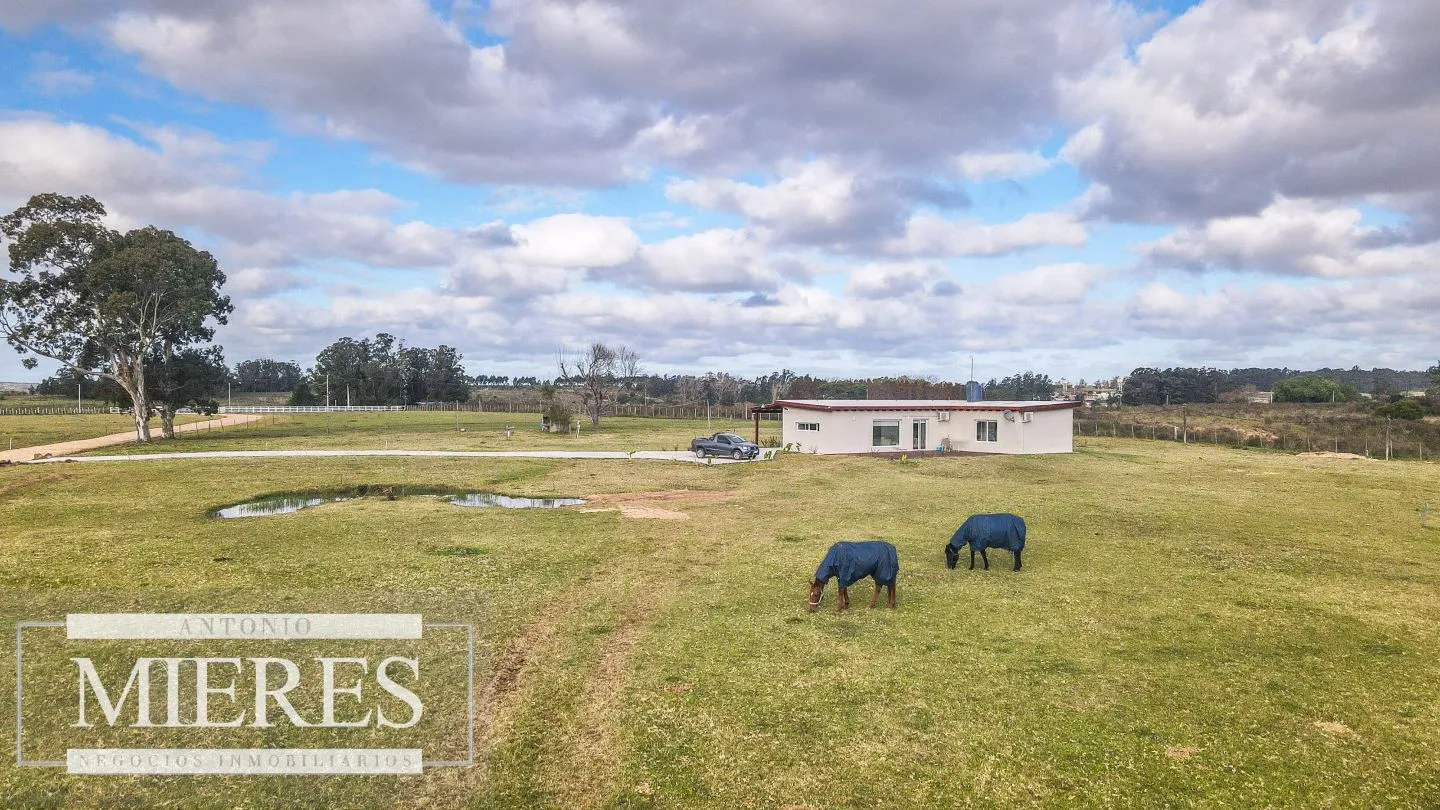 Chacra en venta de 5 ha en Maldonado con casa y galpones — foto 21
