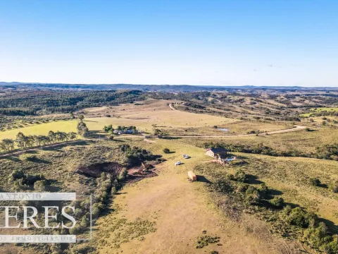 Venta de Campo en Garzón de 45 ha con casa y piscina — foto 4