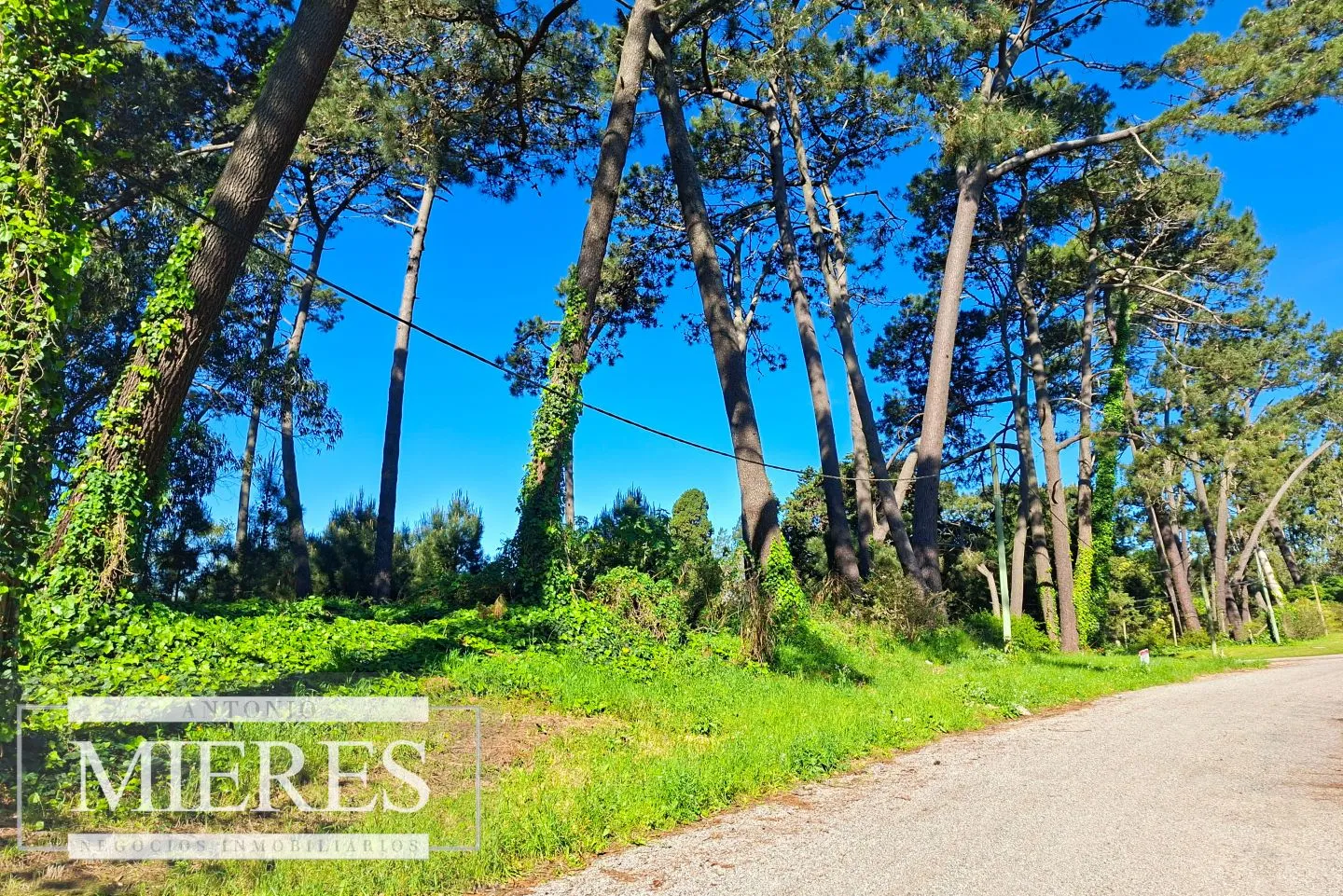 Venta de lote en Jardines De Córdoba - Punta del Este — foto 1