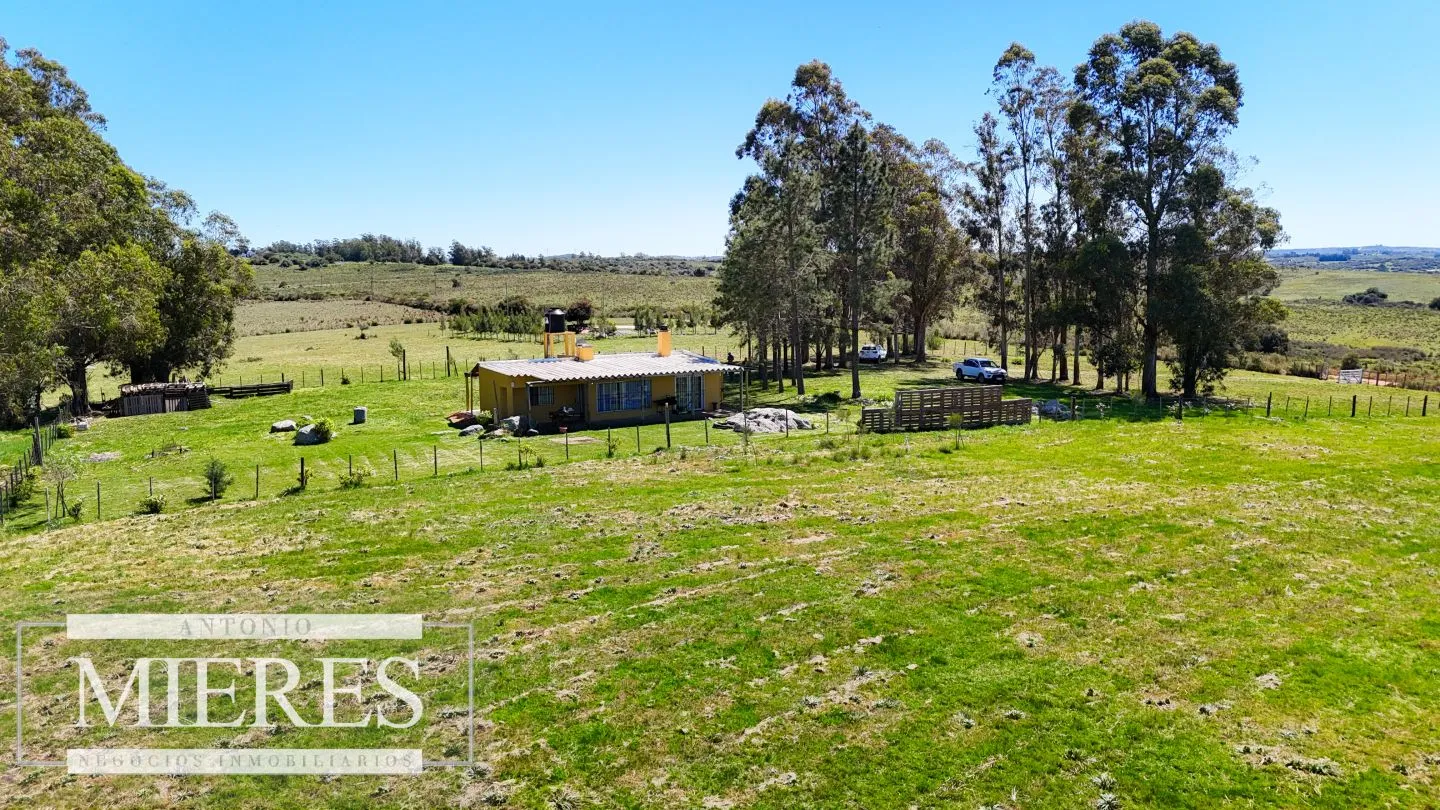 Chacra / Campo 5 ha en Maldonado — foto 14