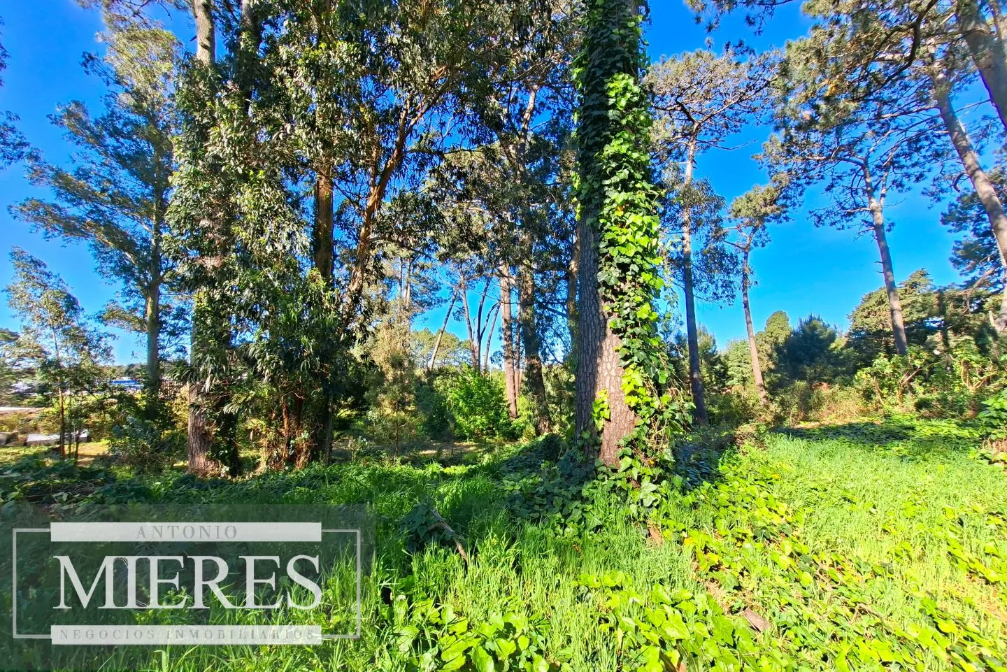 Venta de lote en Jardines De Córdoba - Punta del Este — foto 2