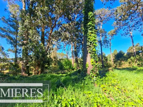 Venta de lote en Jardines De Córdoba - Punta del Este — foto 2