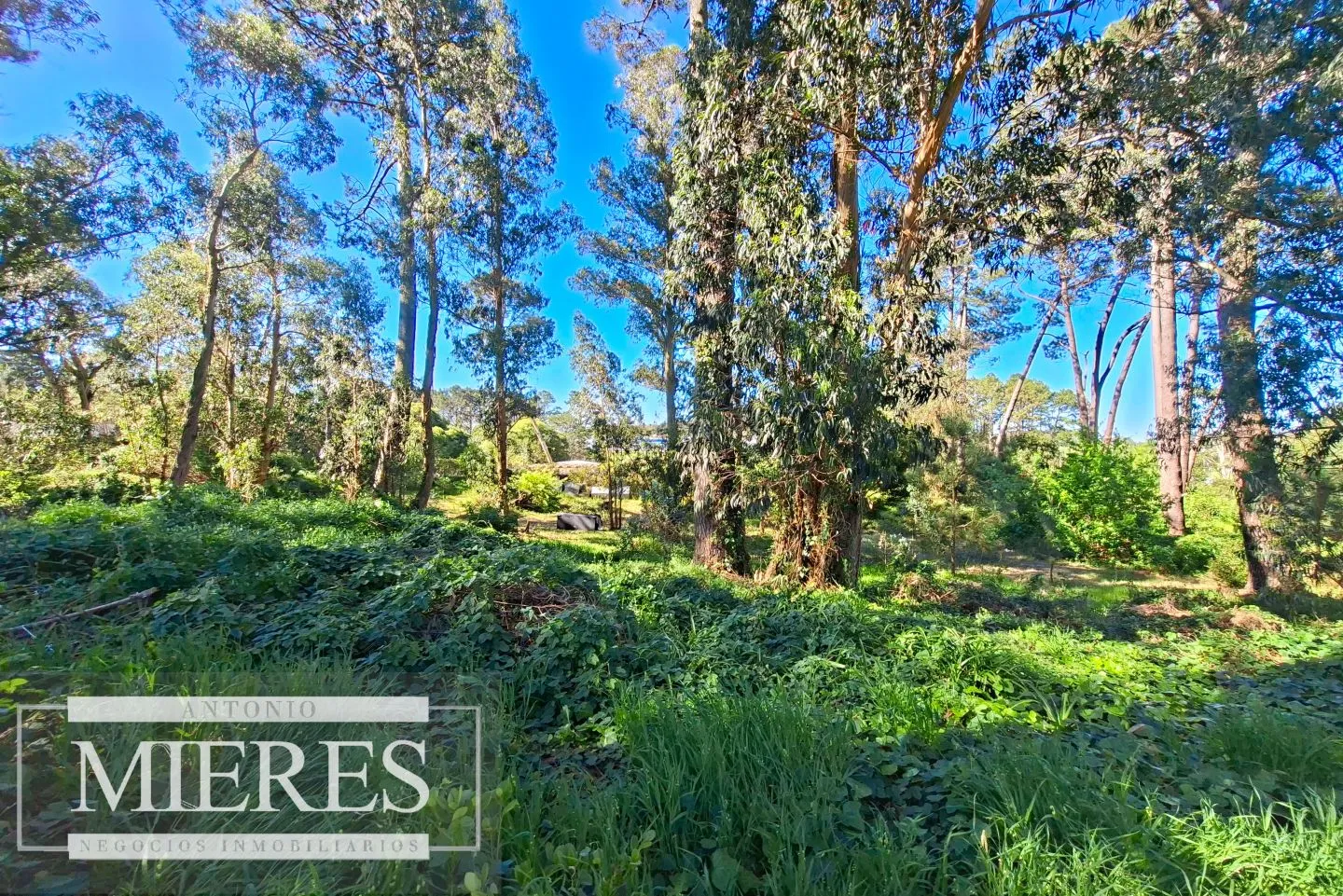 Venta de lote en Jardines De Córdoba - Punta del Este — foto 3