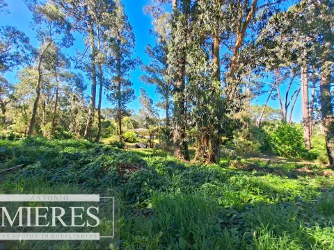 Venta de lote en Jardines De Córdoba - Punta del Este — foto 3