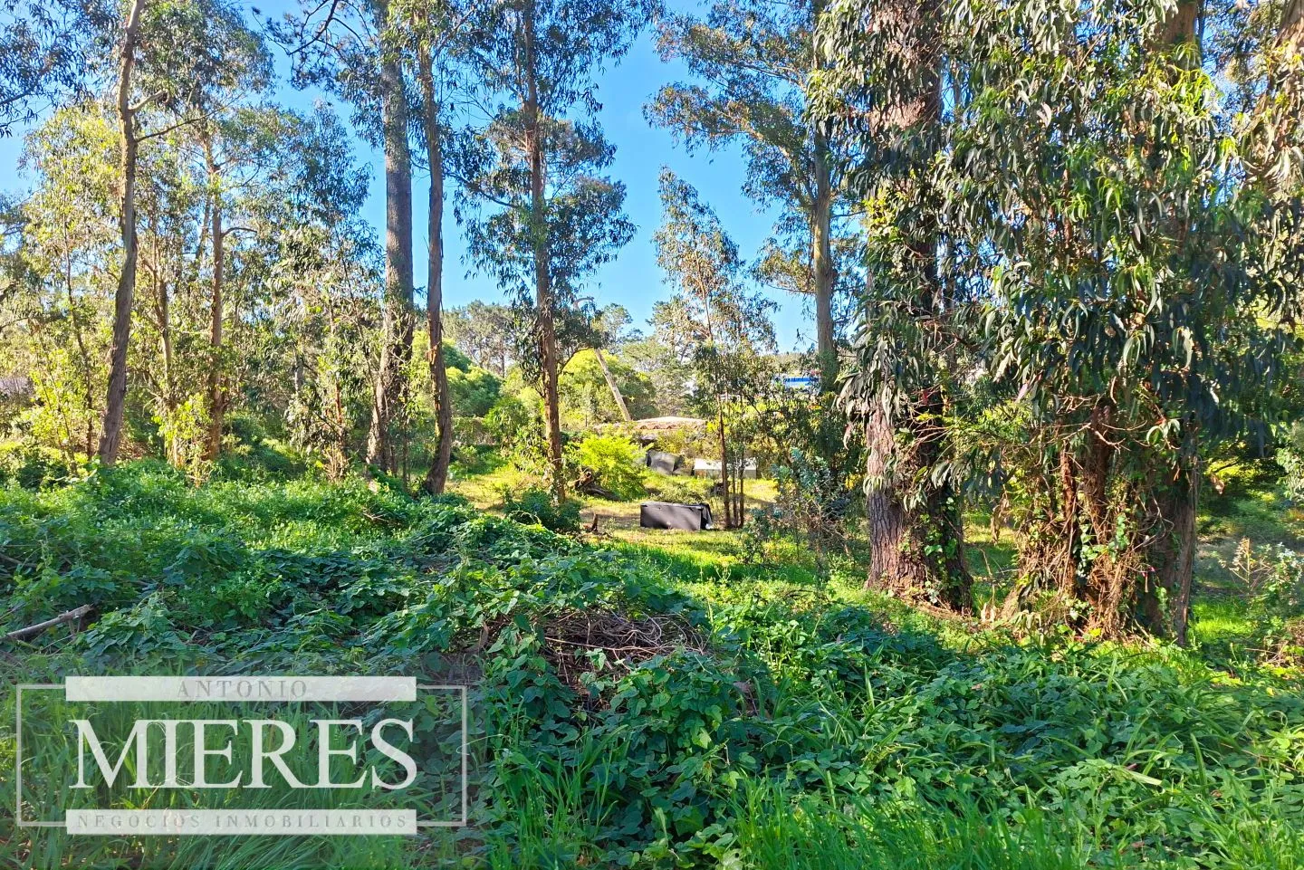 Venta de lote en Jardines De Córdoba - Punta del Este — foto 4