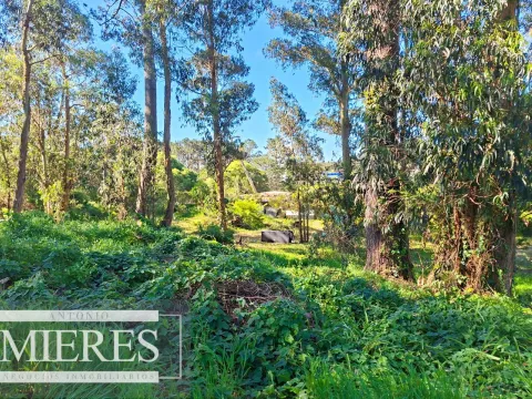 Venta de lote en Jardines De Córdoba - Punta del Este — foto 4