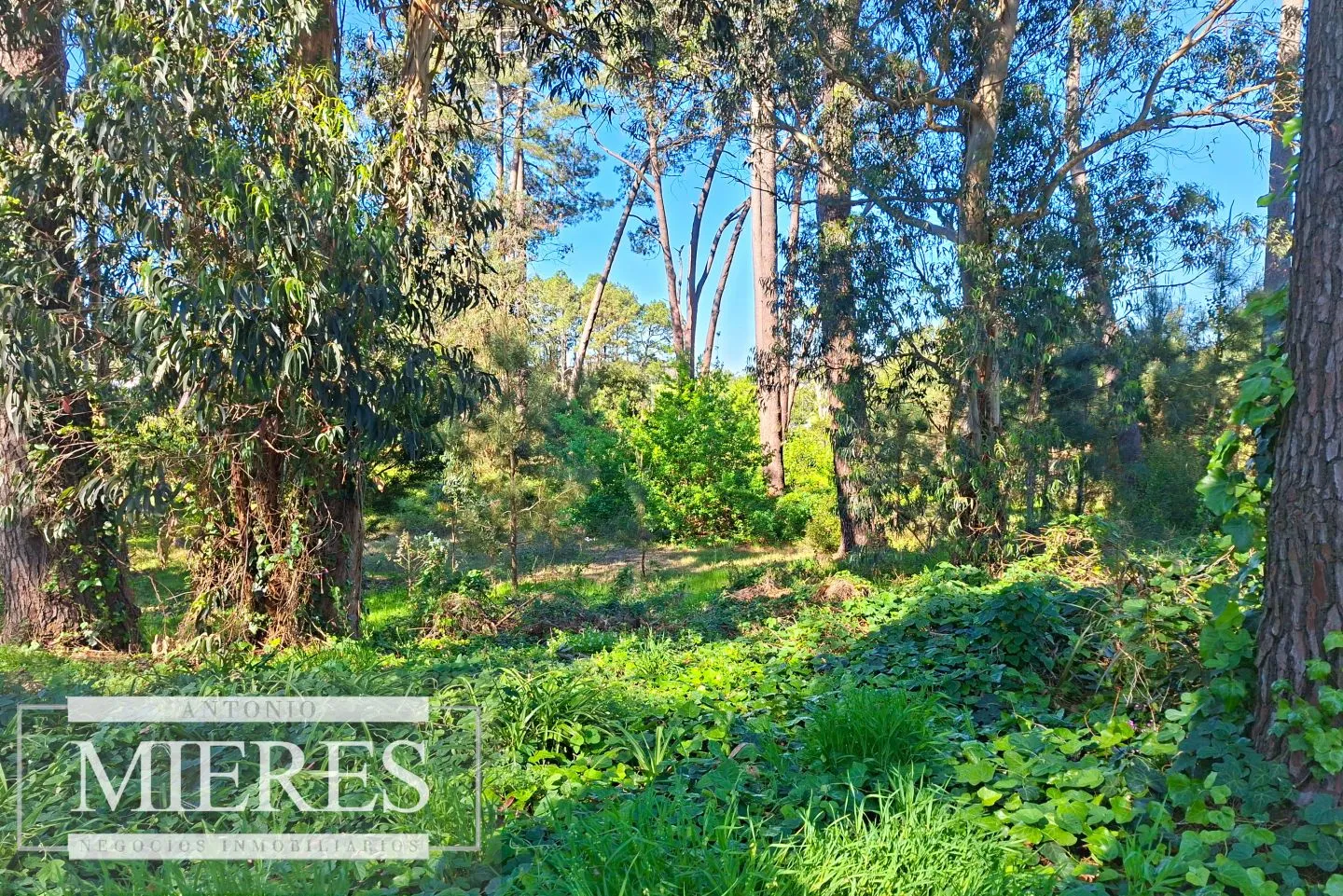 Venta de lote en Jardines De Córdoba - Punta del Este — foto 5