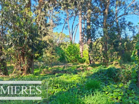 Venta de lote en Jardines De Córdoba - Punta del Este — foto 5