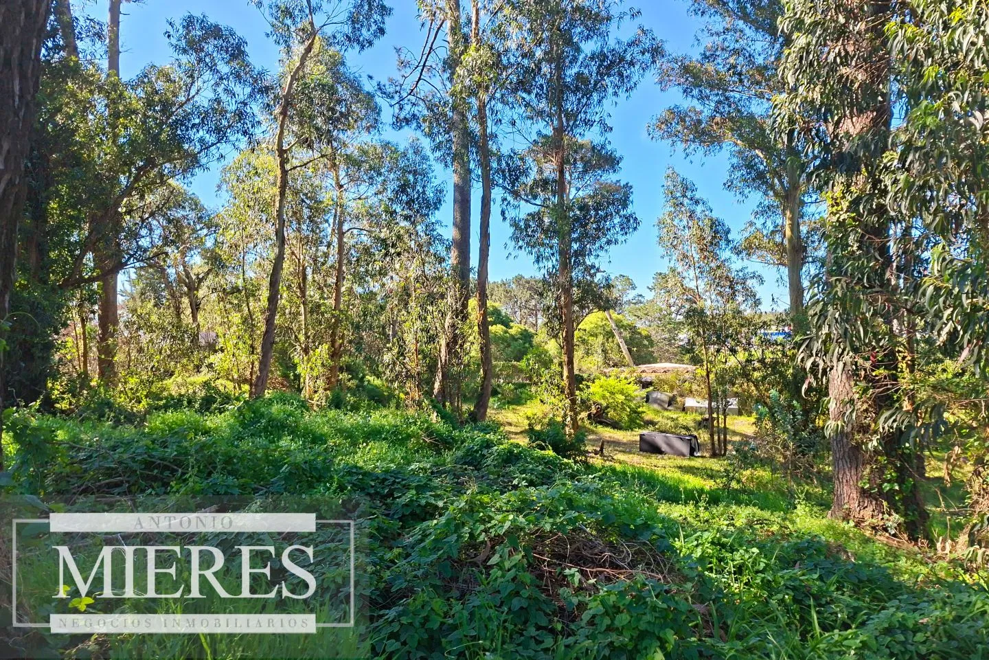 Venta de lote en Jardines De Córdoba - Punta del Este — foto 6