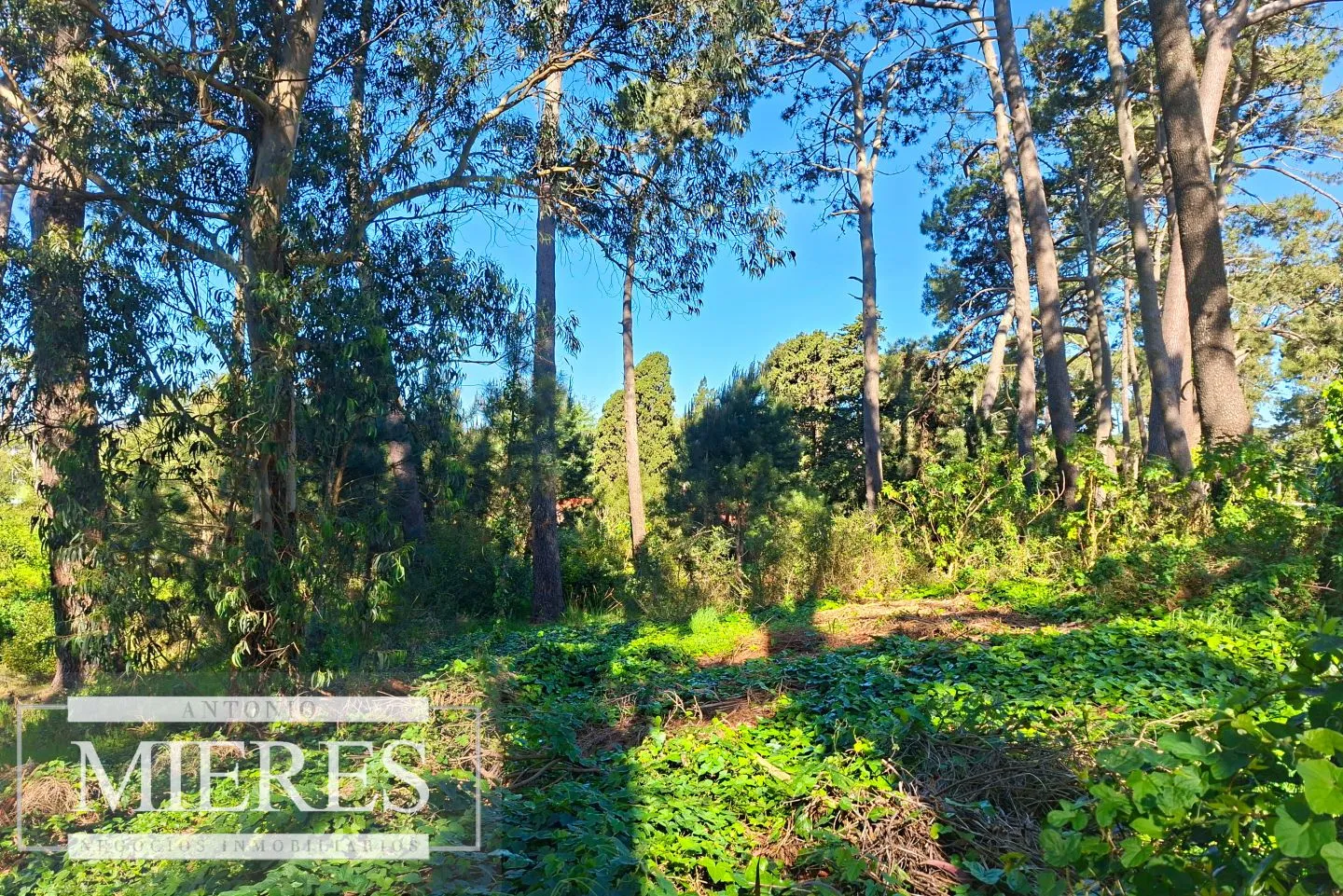 Venta de lote en Jardines De Córdoba - Punta del Este — foto 7