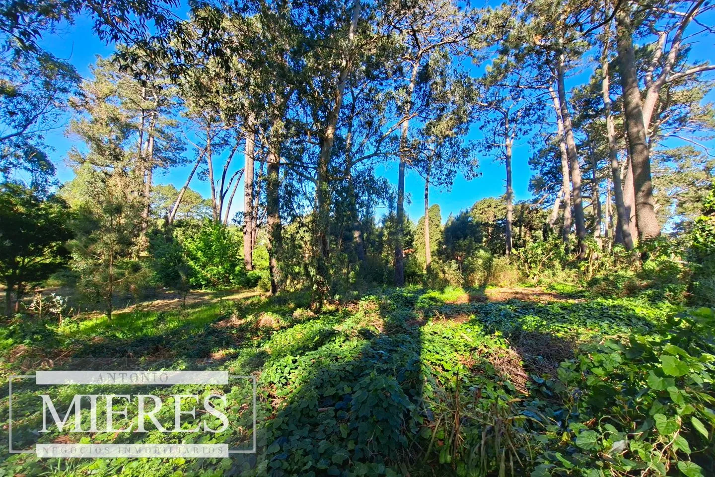 Venta de lote en Jardines De Córdoba - Punta del Este — foto 8