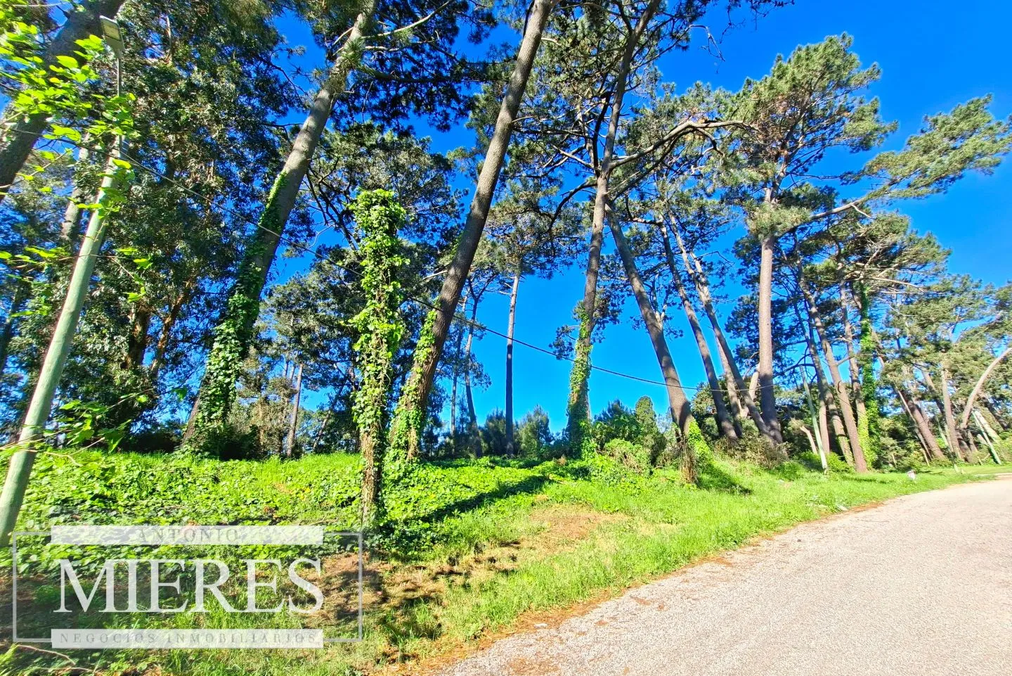 Venta de lote en Jardines De Córdoba - Punta del Este — foto 9