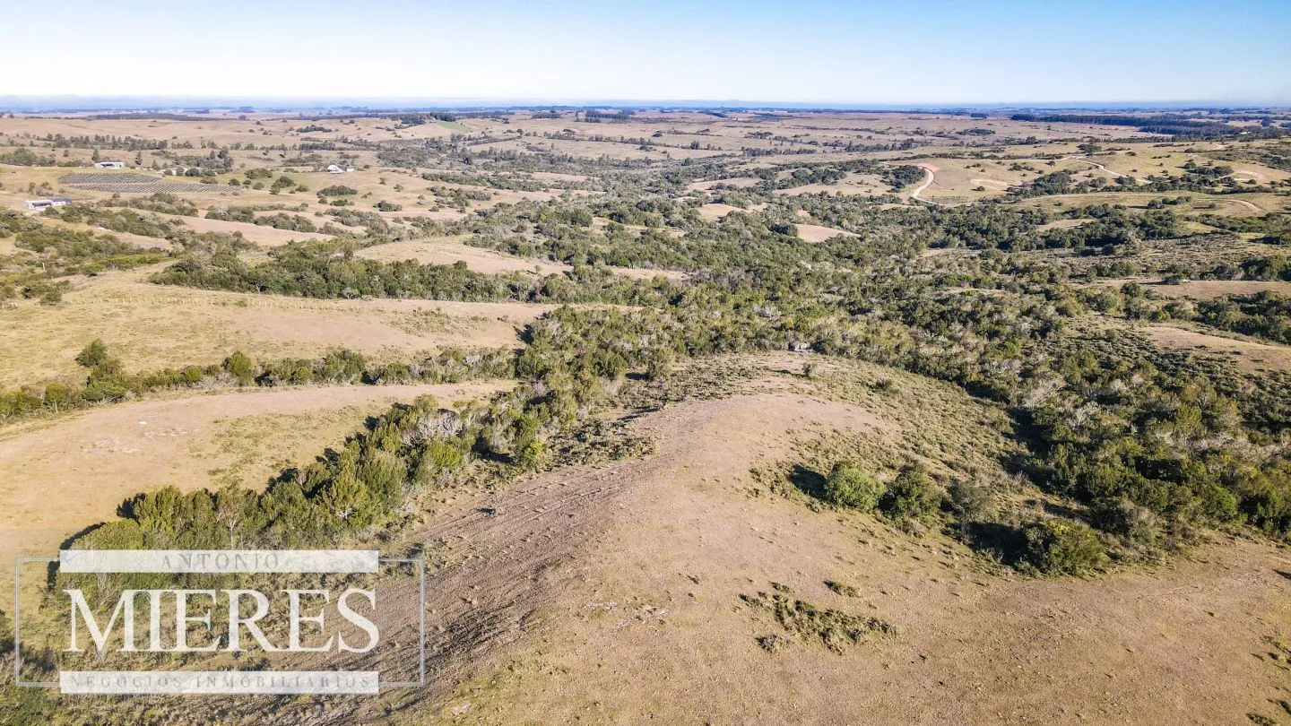 Venta de Campo en Garzón de 45 ha con casa y piscina — foto 16