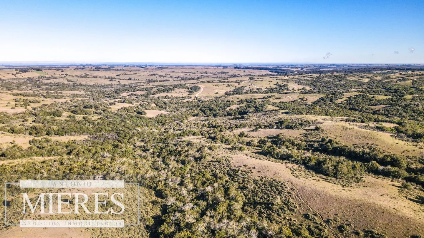Venta de Campo en Garzón de 45 ha con casa y piscina — foto 17