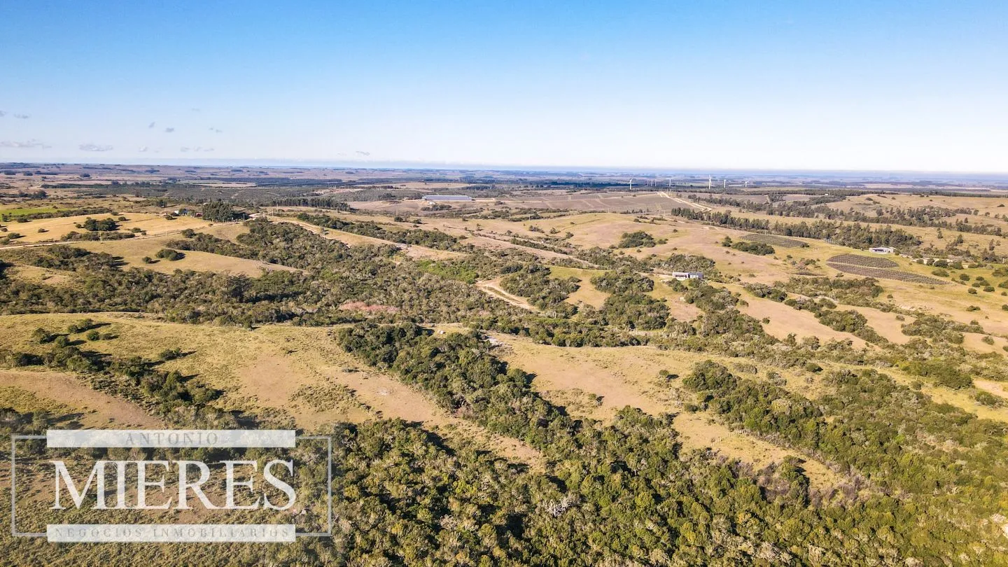 Venta de Campo en Garzón de 45 ha con casa y piscina — foto 20