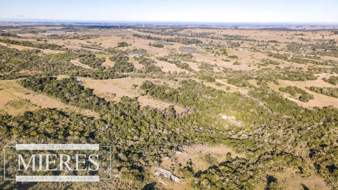 Venta de Campo en Garzón de 45 ha con casa y piscina — foto 21